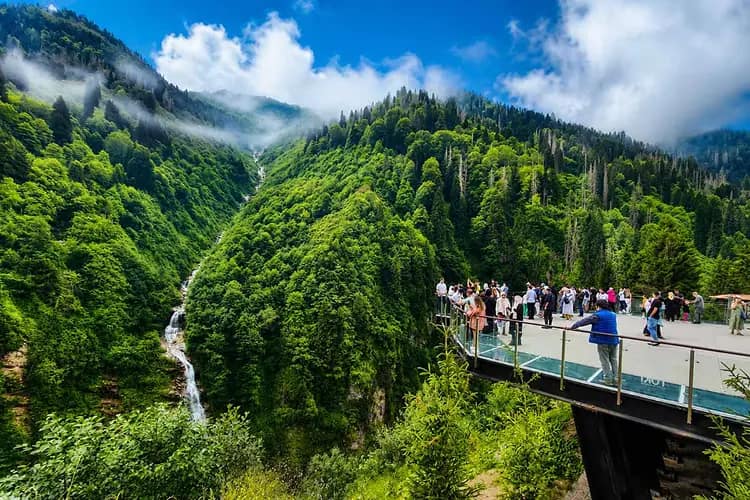 Ayder Plateau